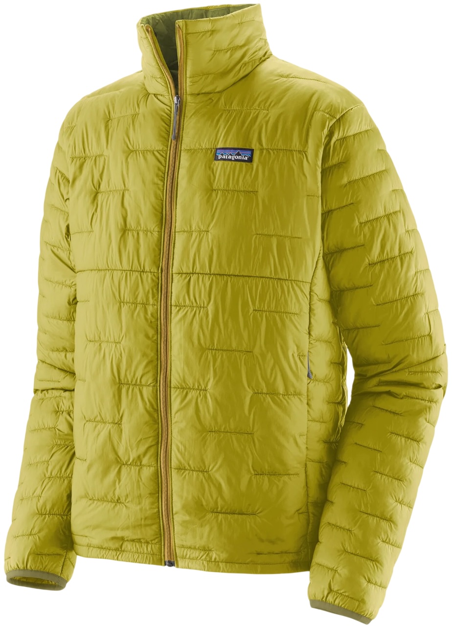 Patagonia Micro Puff Jacket midlayer