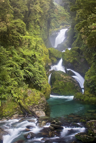 Mackay Falls, Milford Track | Flickr Credit: Tewahipounamu Hiking in New Zealand